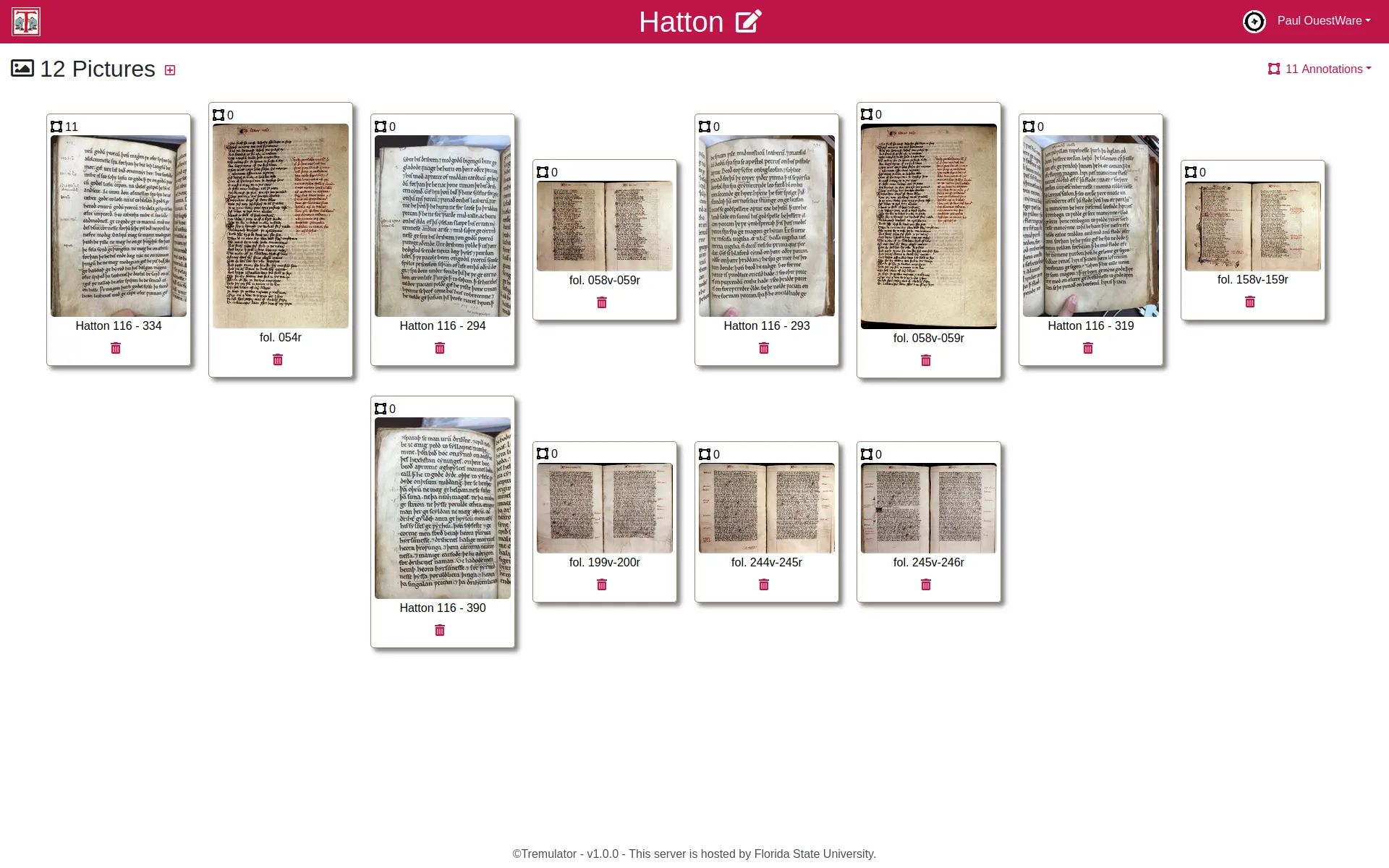 Tremulator's collections are set of pictures to be annotated. For each picture the total number of annotations is indicated. 